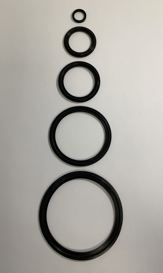 Sanitary Gasket